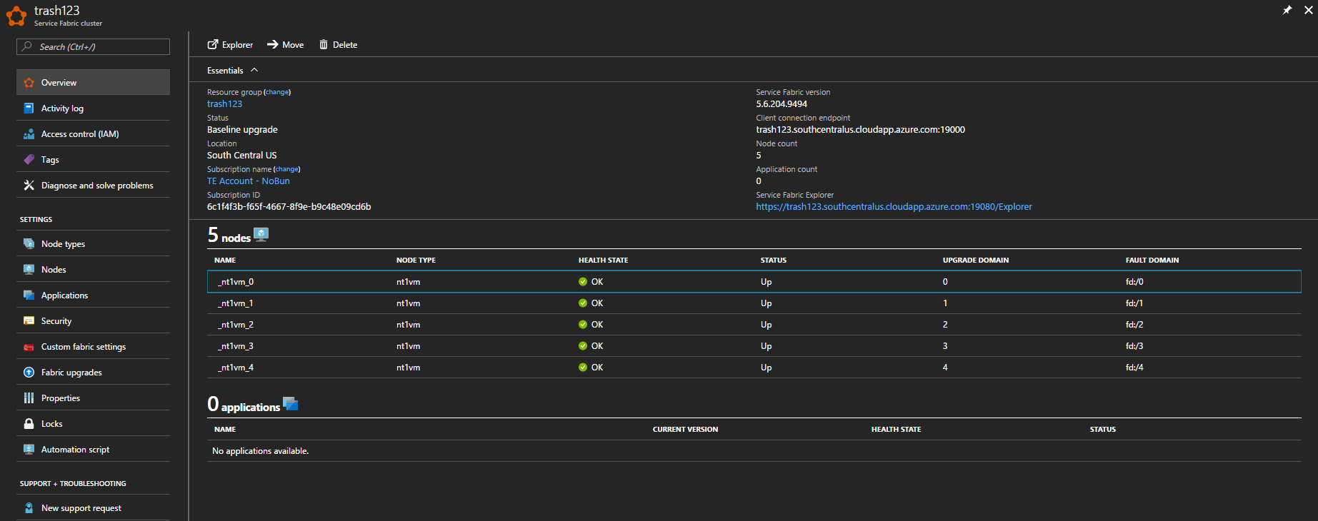 Service Fabric cluster details